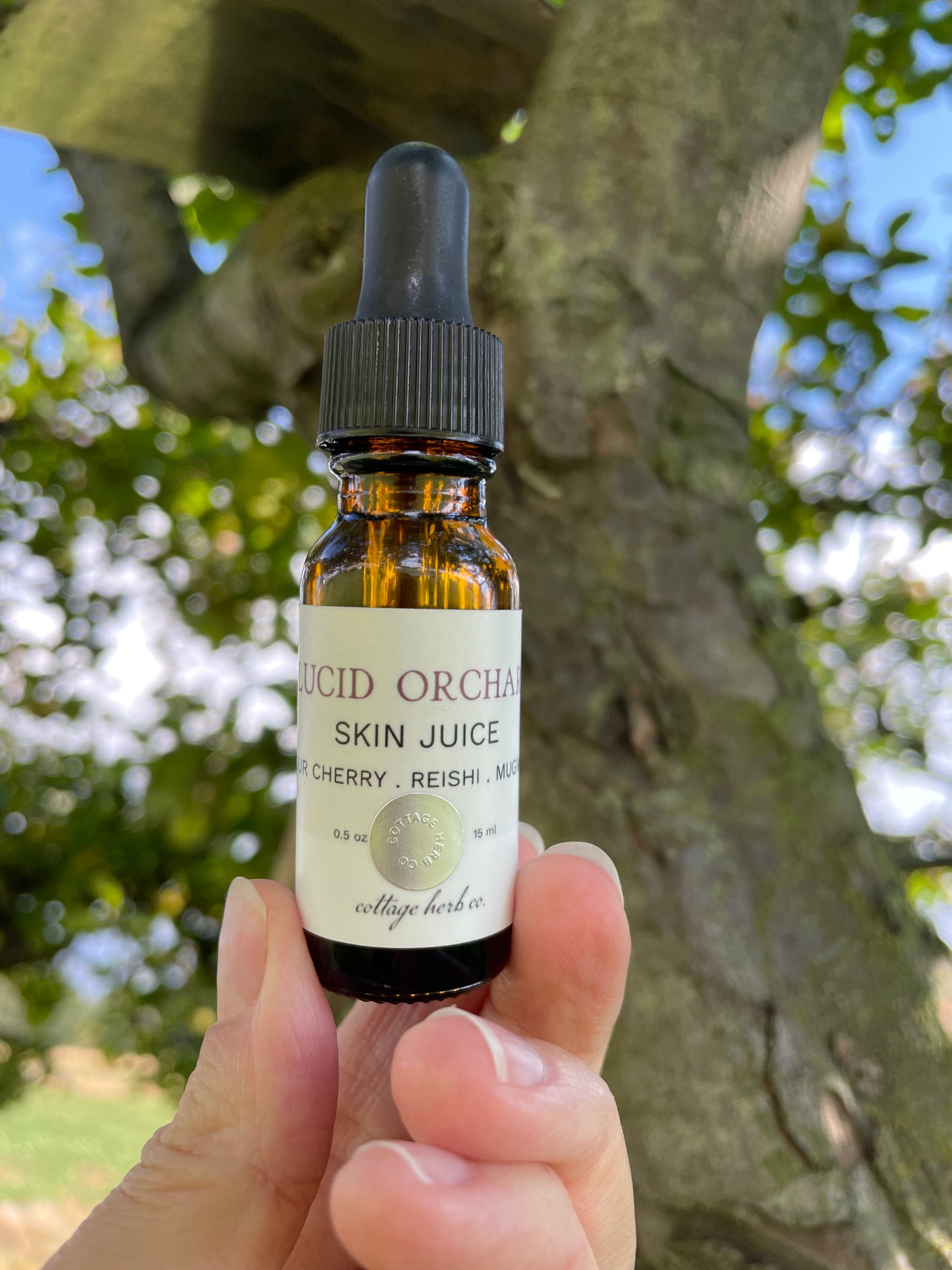 Lucid Orchard Skin Juice- Sour Cherry + Reishi + Mugwort