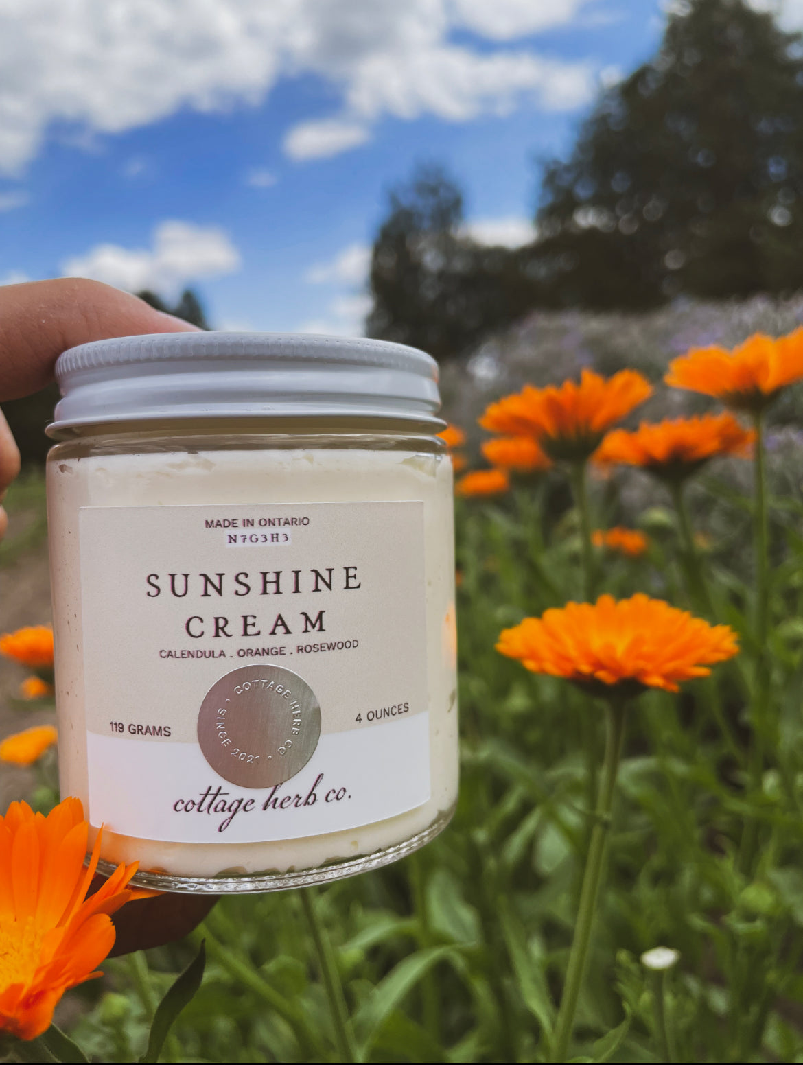 Sunshine Cream