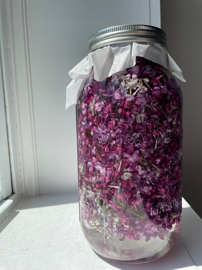 Lilac Tincture