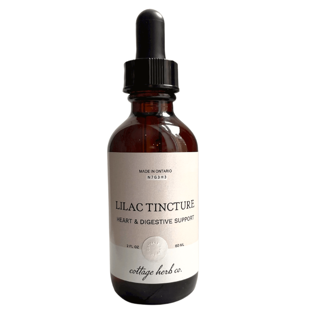 Lilac Tincture